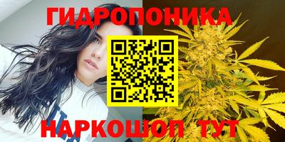марихуана Аргун