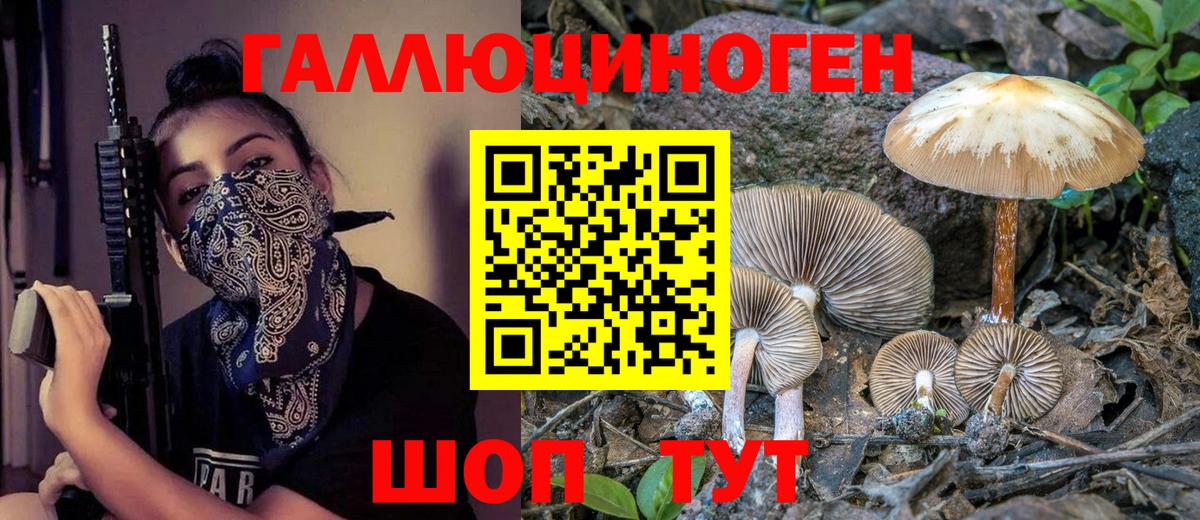 Псилоцибиновые грибы Psilocybine cubensis  Вход с VPN  Бор 